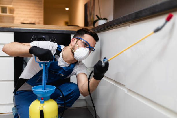 Best Pest Prevention Services  in Owings, MD