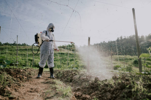 Best Best Pest Control Companies  in Owings, MD