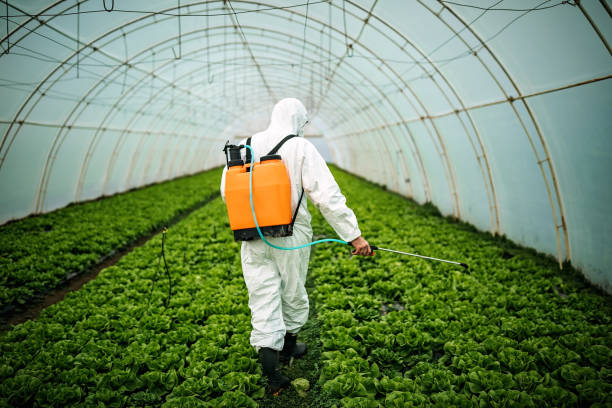 Best Commercial Pest Control Services  in Owings, MD