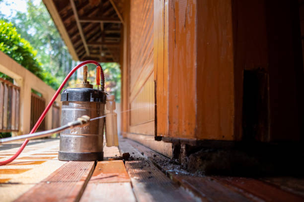Best Affordable Pest Control Services  in Owings, MD
