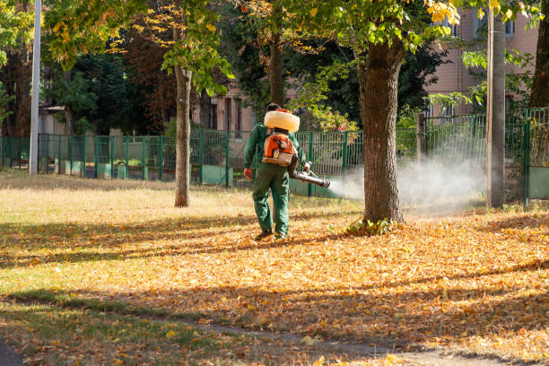 Best Local Pest Control Services  in Owings, MD