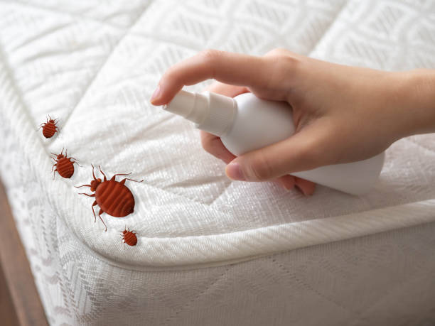 Best Pest Control Near Me in Owings, MD