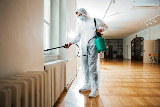 Best Best Pest Control Near Me  in Owings, MD